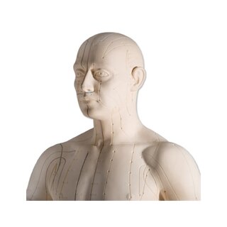 Akupunktūras modelis 70 cm profesionālai lietošanai
