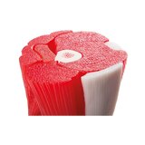 Ceļa modelis ar muskuli 12 daļās